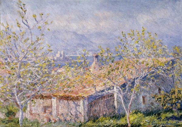 Main Product Photo of Gardener's House at Antibes Painting by Claude Monet