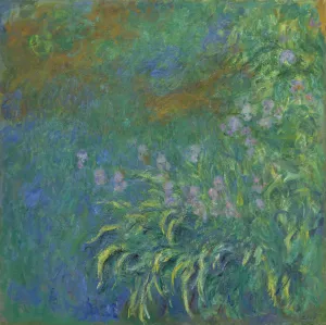 Irises by Claude Monet Oil Painting