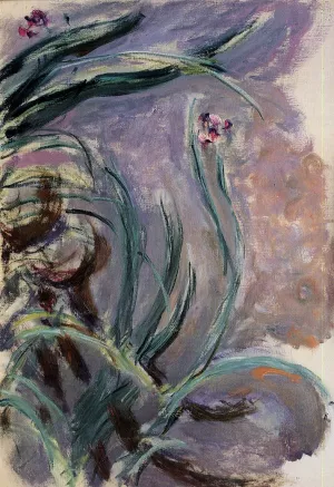 Irises painting by Claude Monet