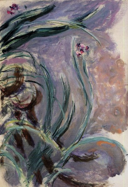 Irises by Claude Monet - Hand-Painted Oil Painting Reproduction