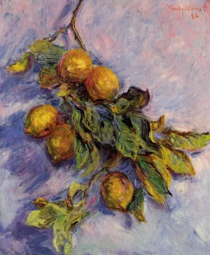 Lemons on a Branch by Claude Monet Oil Painting