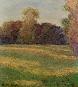 Meadow in the Sun, at Giverny by Claude Monet Oil Painting