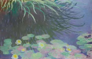 Nympheas Avec Reflets De Hautes Herbes by Claude Monet Oil Painting