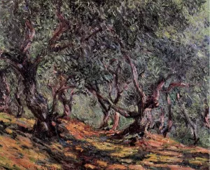 Olive Trees in Bordighera painting by Claude Monet