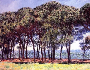 Pine Trees, Cap d'Antibes painting by Claude Monet