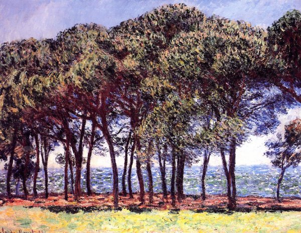 Pine Trees, Cap d'Antibes by Claude Monet - Hand-Painted Oil Painting Reproduction