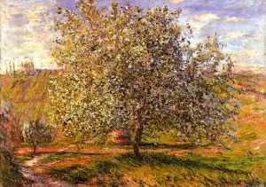 Tree in Flower Near Vetheuil painting by Claude Monet