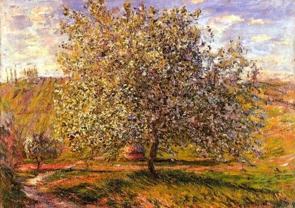 Main Product Photo of Tree in Flower Near Vetheuil Painting by Claude Monet