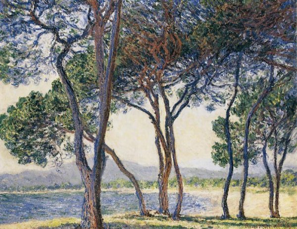 Main Product Photo of Trees by the Seashore at Antibes Painting by Claude Monet