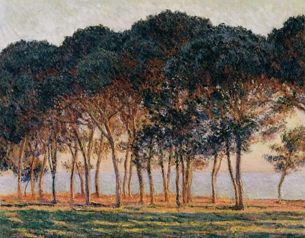 Main Product Photo of Under the Pine Trees at the End of the Day Painting by Claude Monet