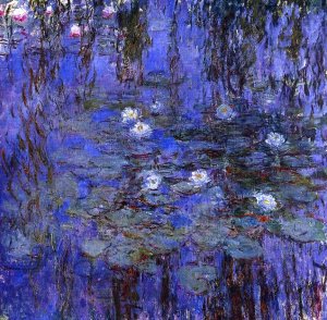 Water-Lilies 10