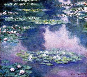 Water-Lilies 53