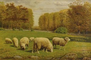 Grazing Sheep by Clinton Loveridge Oil Painting