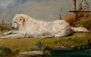 The Family Dog by Conrad Wise Chapman Oil Painting
