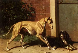 A Greyhound And A Shepherd Dog by Conradyn Cunaeus Oil Painting