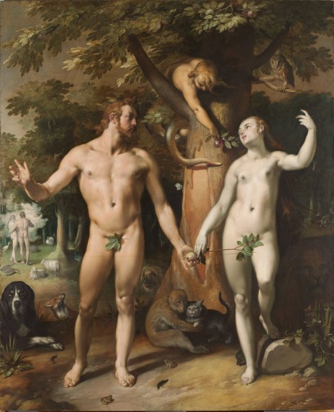 Main Product Photo of The Fall of Man  Painting by Cornelis Cornelisz Van Haarlem
