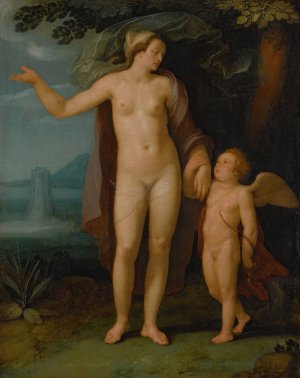 Venus and Cupid in a landscape by Cornelis Cornelisz Van Haarlem Oil Painting