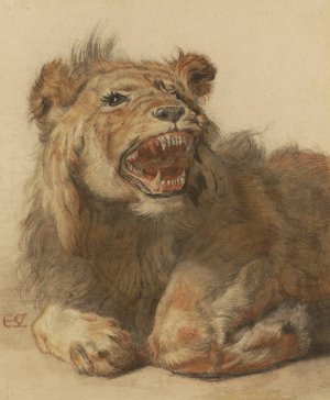 A Lion Snarling by Cornelis Saftleven Oil Painting