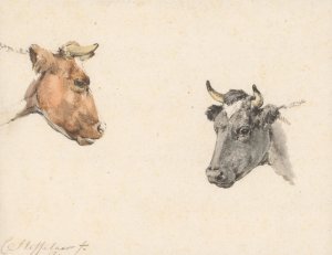 Studieblad met twee koeienkoppen Oil painting by Cornelis Steffelaar