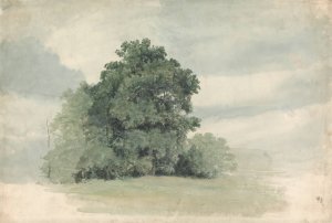 Study of Trees at the Edge of a Field by Cornelius Varley Oil Painting
