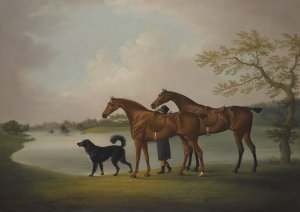 A Pair Of Hunters Held By A Groom, With A Newfoundland Dog, By A Lake by Daniel Clowes Oil Painting