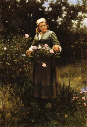 Gathering Roses by Daniel Ridgway Knight - Oil Painting Reproduction