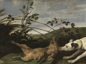 A Greyhound Catching a Young Wild Boar by Daniel Schultz Oil Painting
