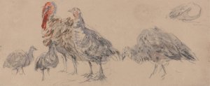 Study of Turkeys by David Cox Oil Painting