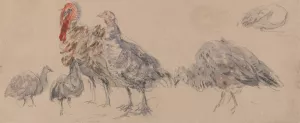 Study of Turkeys Oil painting by David Cox
