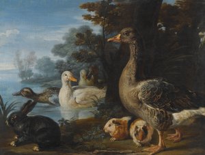 A Cockerel, Hens, Doves And A Parrot In A formal Garden Setting by David De Coninck Oil Painting