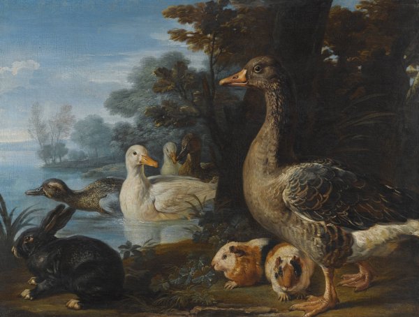A Cockerel, Hens, Doves And A Parrot In A formal Garden Setting by David De Coninck - Hand-Painted Oil Painting Reproduction