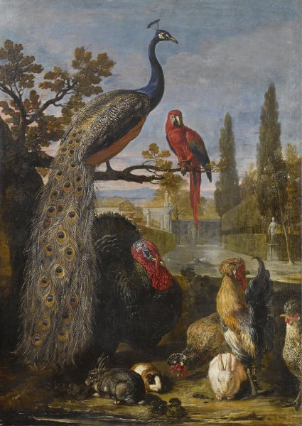 Een pauw, een papegaai, kalkoenen, hanen, konijnen en een cavia in een park by David De Coninck - Hand-Painted Oil Painting Reproduction