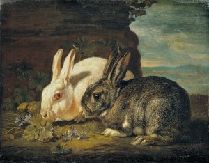 Two Rabbits by David De Coninck Oil Painting