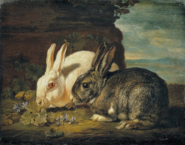 Two Rabbits by David De Coninck - Hand-Painted Oil Painting Reproduction