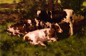 Calves Resting