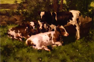 Calves Resting by David Gauld Oil Painting
