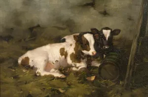 Calves painting by David Gauld