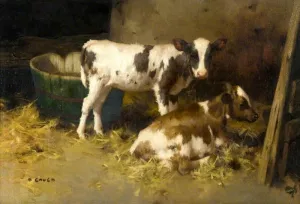 Two Calves by David Gauld - Oil Painting Reproduction