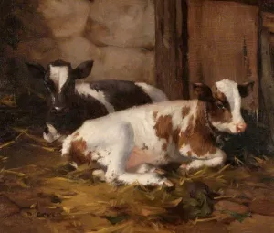 Two Calves by David Gauld - Oil Painting Reproduction