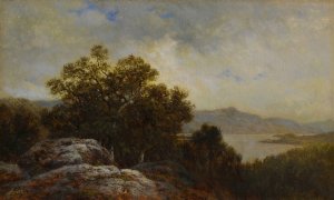 Near Hague, Lake George by David Johnson Oil Painting