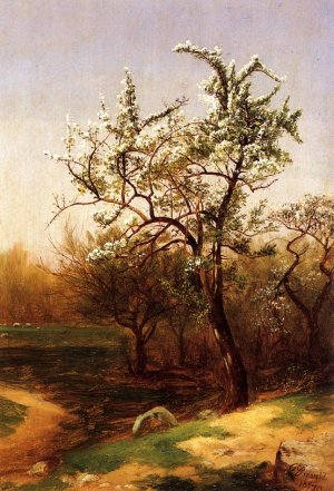 Pear Blossoms Oil painting by David Johnson