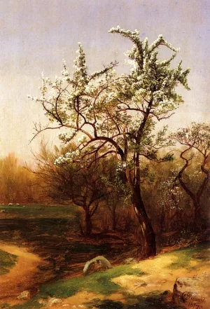 Pear Blossoms Oil painting by David Johnson