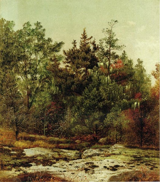 Study at Ramapo, New York by David Johnson - Hand-Painted Oil Painting Reproduction