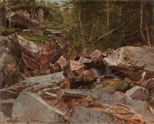 Study, North Conway, New Hampshire by David Johnson Oil Painting