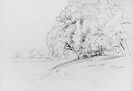Main Product Photo of Trees and Dog Painting by David Johnson