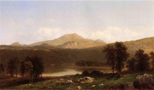 View of Mt. Lafayette, New Hampshire by David Johnson Oil Painting