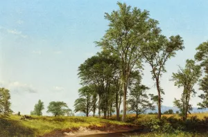 Young Elms by David Johnson - Oil Painting Reproduction