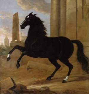 Favourite, one of King Karl XI's riding horses by David Klocker Ehrenstrahl Oil Painting