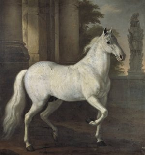 Karl XI's horse Brilliant by David Klocker Ehrenstrahl Oil Painting