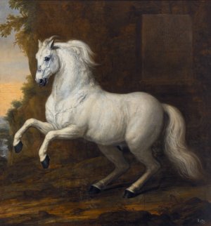 Karl XIs livhast Kortom by David Klocker Ehrenstrahl Oil Painting